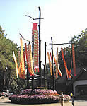 Doi Tung