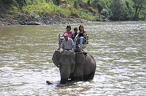 Elephants Camp