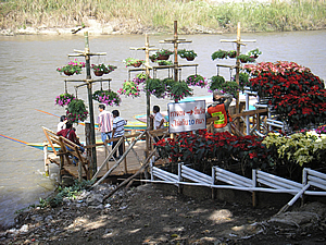 5th Chiang Rai Flowers Festival