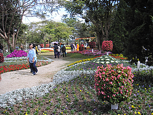 5th Chiang Rai Flowers Festival
