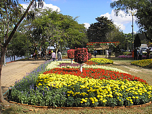 5th Chiang Rai Flowers Festival