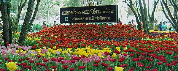 5th Chiang Rai Flowers Festival