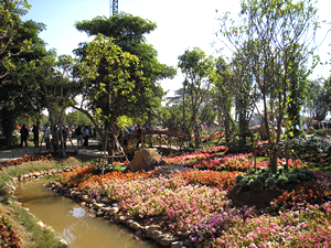 6th Chiang Rai Flowers Festival