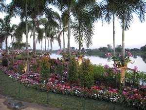 6th Chiang Rai Flowers Festival