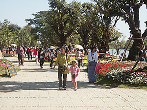 7th Chiang Rai Flowers Festival