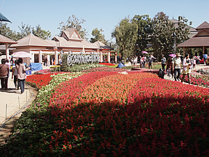 7th Chiang Rai Flowers Festival